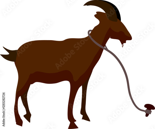 Eid al Adha Goat or Kambing Kurban