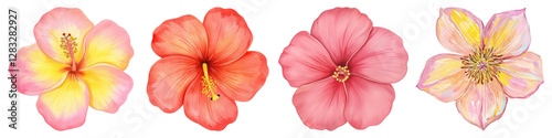 Wallpaper Mural PNG Vibrant tropical hibiscus flowers, element set on transparent background Torontodigital.ca