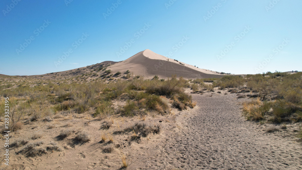 Sandy path winds through desert shrubs, leading towards the towering singing barkhan dune under a clear blue sky in altyn-emel national park, kazakhstan