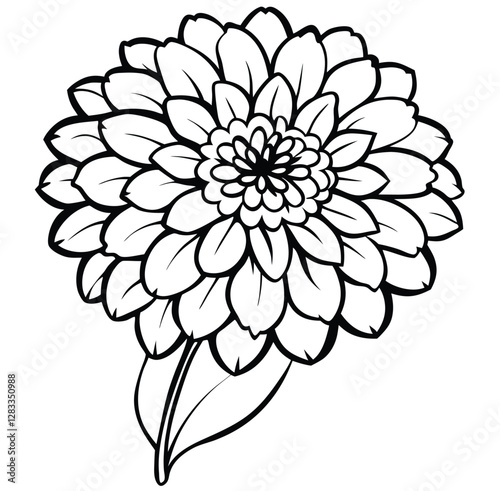 Vibrant Zinnia flower, Dahlia flower line drawing hand drawn sketch outline sign icon vector illustration with fun brush ink for photo overlays t-shirt print flyer poster design. Decorative element.