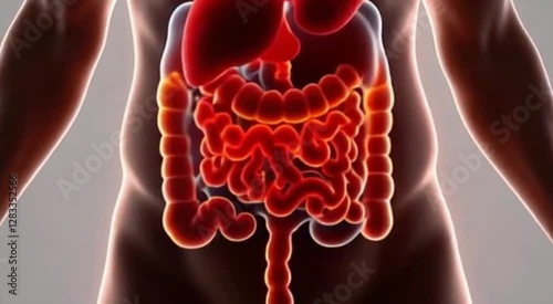 Human belly fat hologram burning 4k