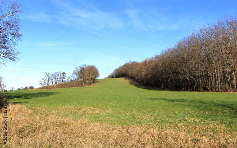 Fototapeta premium German countryside in Saxony