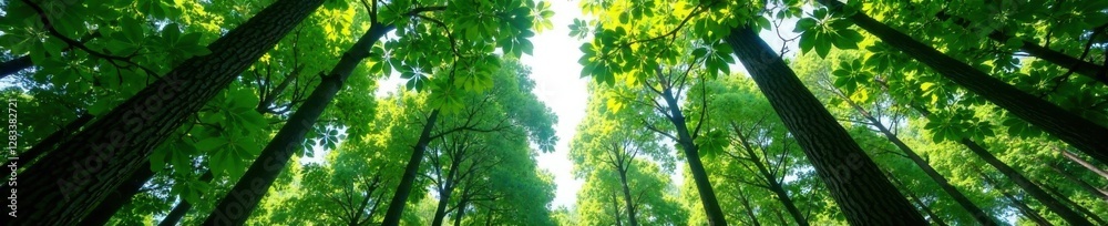 Dense forest of towering trees with large leaves on white background, foliage, tree leaves, forest Dense forest of towering trees with large leaves on white background, foliage, tree leaves, forest