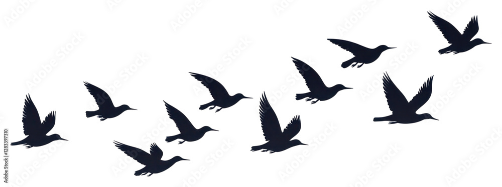 PNG A flock of birds flying in the sky silhouette clip art illustration waterfowl migration. PNG A flock of birds flying in the sky silhouette clip art illustration waterfowl migration.