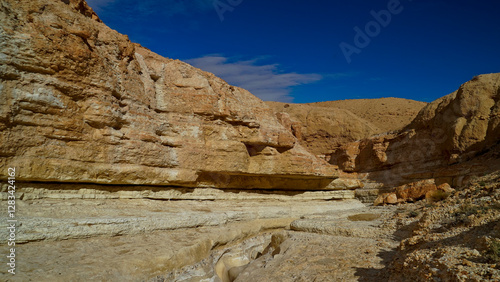 Wallpaper Mural Oasi e canyon di Tamaghza, regione di Tezeur Torontodigital.ca