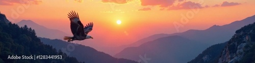 Eagle flying over mountains landscape at sunrise, nature, silhouette, birds