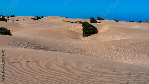 Fototapeta Naklejka Na Ścianę i Meble -  The sand dunes near Essaouira Morocco Africa 