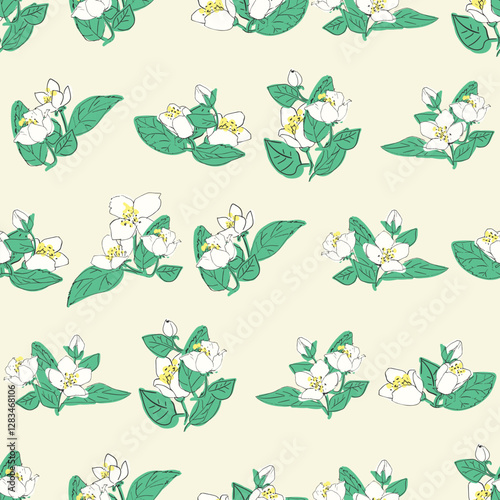 Seamless vector pattern with jasmine flowers. Floral background illustration.