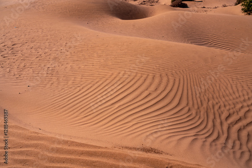 Fototapeta Naklejka Na Ścianę i Meble -  The sand dunes near Essaouira Morocco Africa 