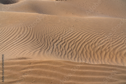 The sand dunes near Essaouira Morocco Africa  photo