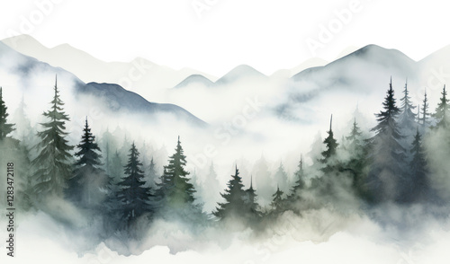 PNG  Mist fog fir backgrounds.