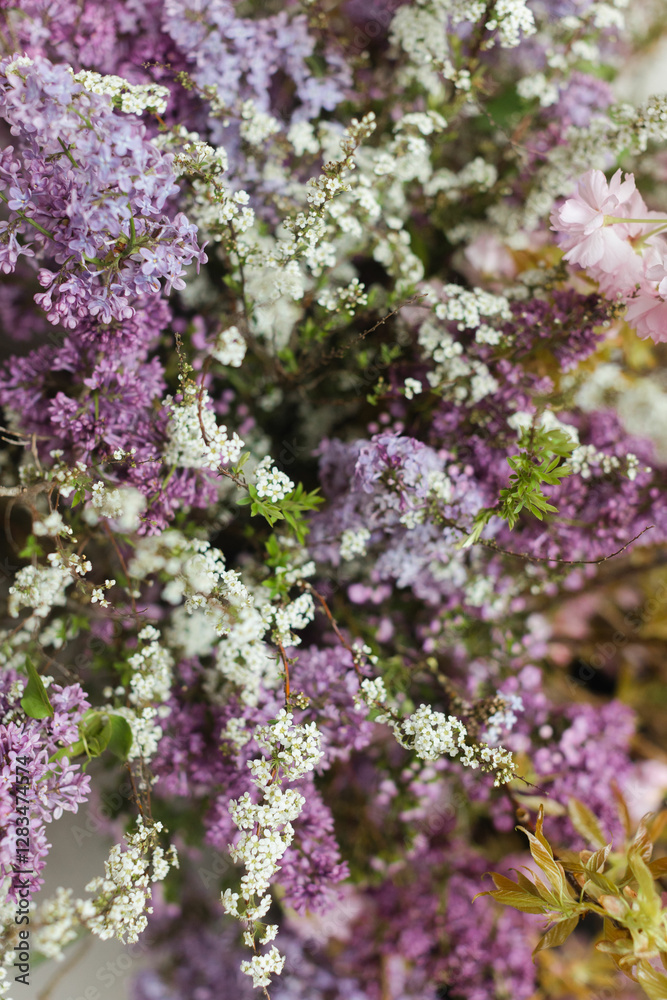 Obraz premium Colorful display of wildflowers in a sunlit garden showcasing various shades and textures