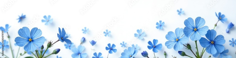 Naklejka premium Softly scattered blue forget me nots against a white backdrop, floral, flowers