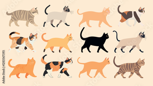 Colorful illustrated cats variety, isolated vector set