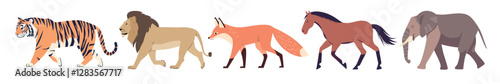 Illustrated wild animal lineup, isolated vector set