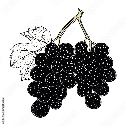 Grapes illustration fruit chandelier vector