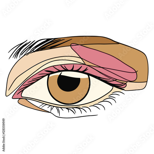 Eye colorful drawing art vector
