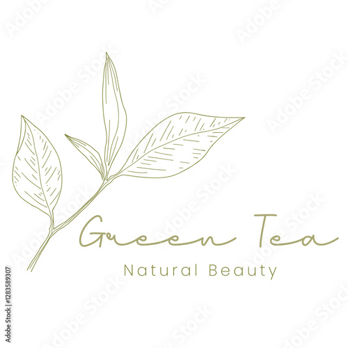 Hand-Drawn Green Tea Skincare Logo Organic Beauty Branding