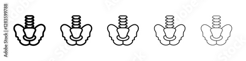 Pelvic area icon set in different stroke sizes