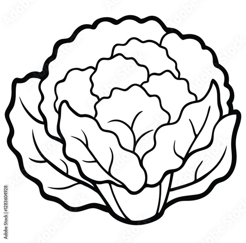 Cauliflower vegetable outline black and white cute drawing. The vegetable is the main focus of the image. The vegetable adds a touch of nature and freshness to the scene. The image is simple and clear
