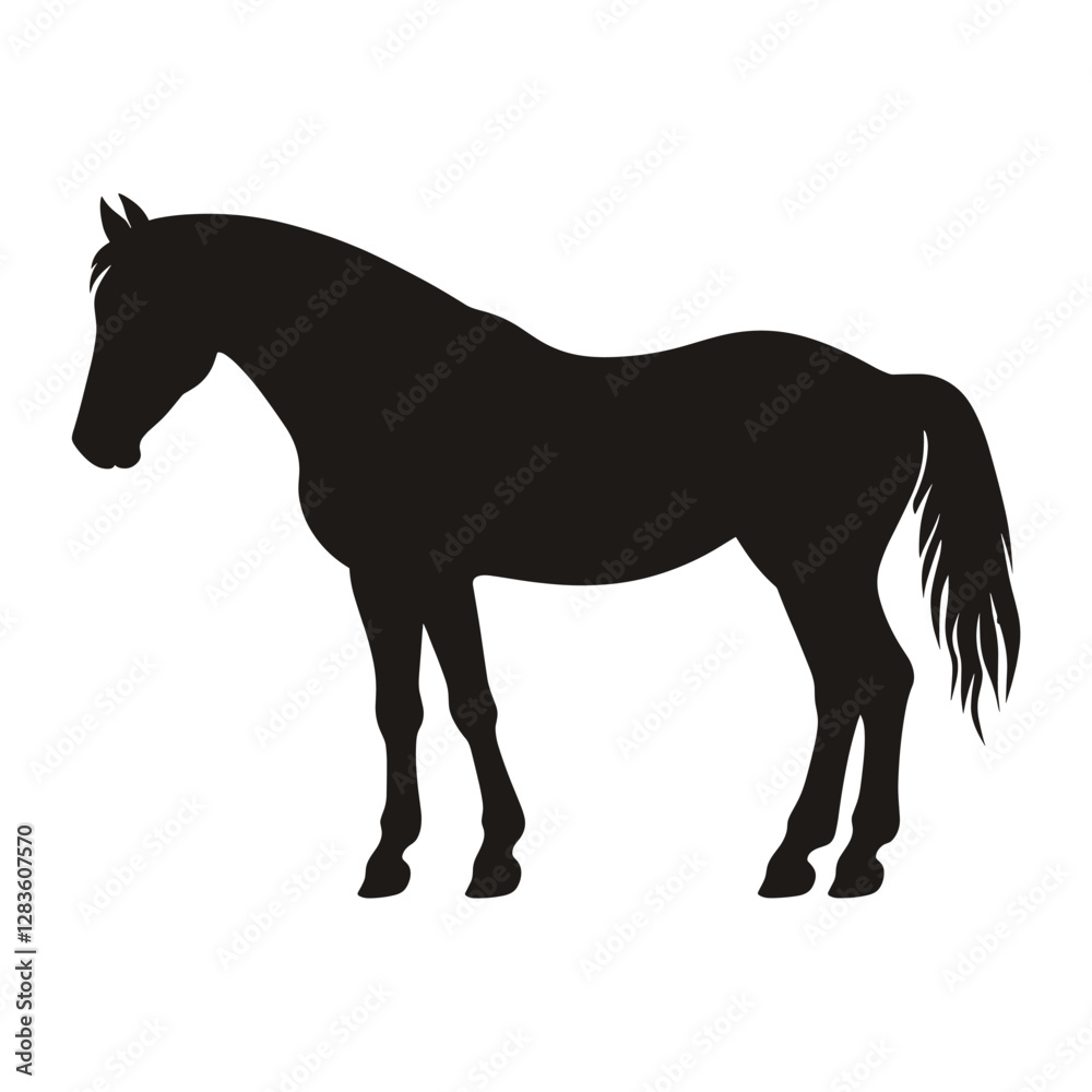 Obraz premium Horse silhouette animal black art vector