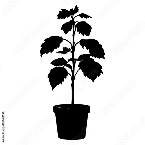 Fiddle leaf fig silhouette pot illustration vector