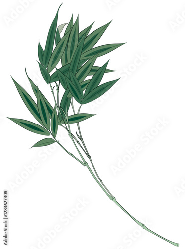 Branches tropical jungle bamboo composition with darkened rainforest background surrounded by images of exotic plants leaves vector illustration