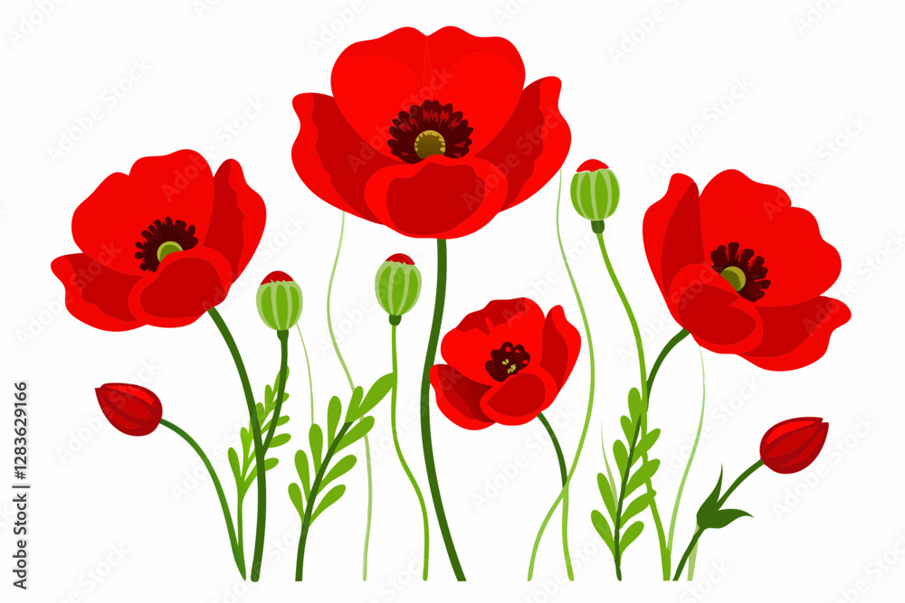 Naklejka premium Red Poppy Vector Illustration on White Background - 8K High-Resolution Floral Art