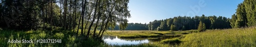 Springtime panorama of a pine and fir forest with a walking path in the park