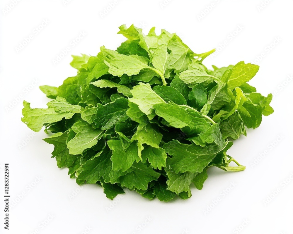 Fototapeta premium Vibrant Melissa Leaves: A Close-Up Study of Healthy Herbal Mint Colors