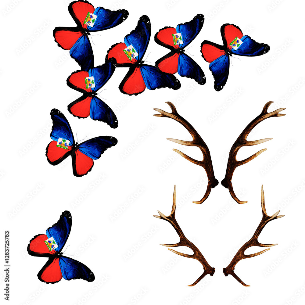 Fototapeta premium A group of butterflies with antlers isolated on transparent background