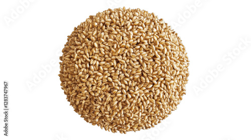 wheat seed isolated on white background