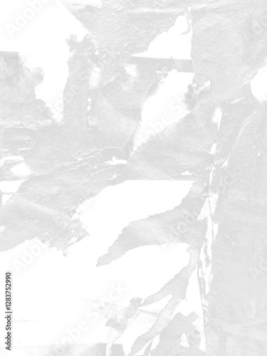 Torn paper isolated.Ripped poster paper effect on transparent and white background