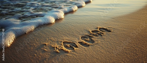 A serene beach scene with 