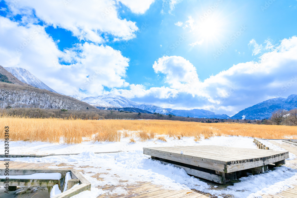 Obraz premium 冬のタデ原湿原 くじゅう連山 大分県玖珠郡 Tadewara wetland in winter. Kujuurenzan. Oita Pref, Kusu-gun.