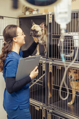 Caring veterinarian interacts with dogs in animal shelter during afternoon