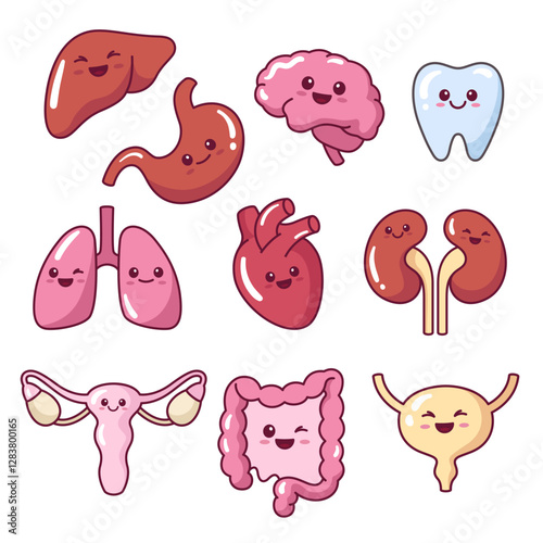 Cute kawaii internal organs illustrations, inners in a cartoon comic style, simple kids drawings