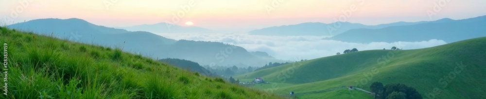 Grassy hills with misty mountains, foggy landscape, gradient sky, brown trees, mountain range Grassy hills with misty mountains, foggy landscape, gradient sky, brown trees, mountain range