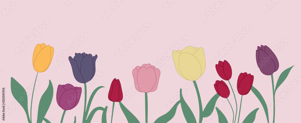 lovely flowers, tulips. background for March 8, birthday, spring, March, April, May. vector graphics.