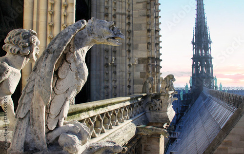 gargoyle on Notre Dame Cathedral Paris