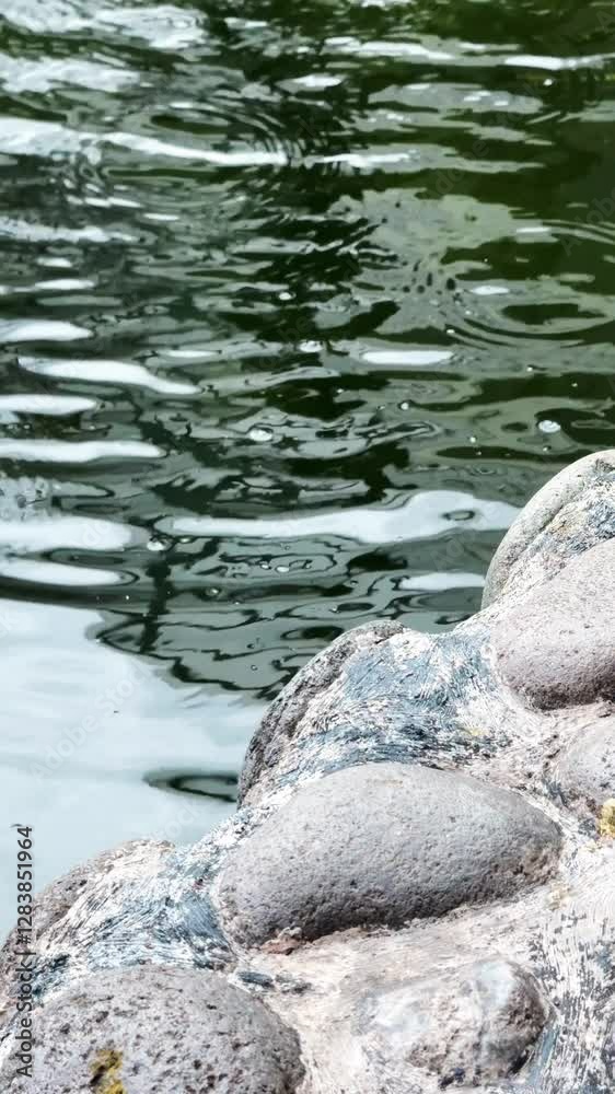 Close up of raindrops and ripples on a calm pond surface near textured rocks.The soothing water movement and reflections add a peaceful,natural ambiance,perfect for relaxation and meditation themes. Close up of raindrops and ripples on a calm pond surface near textured rocks.The soothing water movement and reflections add a peaceful,natural ambiance,perfect for relaxation and meditation themes.