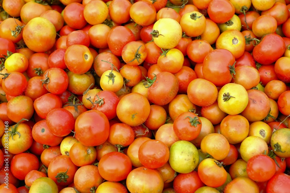 Fresh red tomatoes. Bunch of tomatoes for sell at market, Healthy food concept tomoto background texture selective focus. Fresh red tomatoes. Bunch of tomatoes for sell at market, Healthy food concept tomoto background texture selective focus.