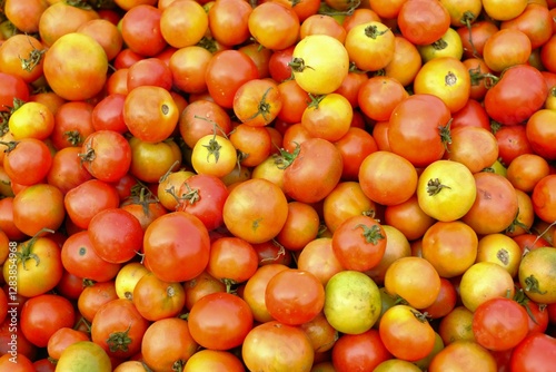 Fresh red tomatoes. Bunch of tomatoes for sell at market, Healthy food concept tomoto background texture selective focus.