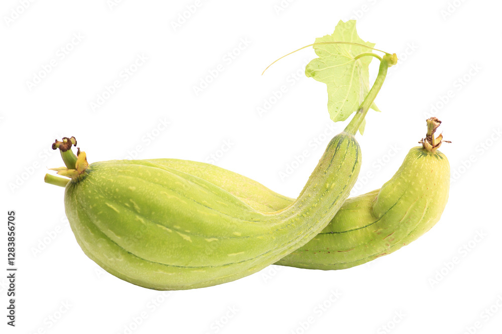 Loofah luffa loofa isolated on white background