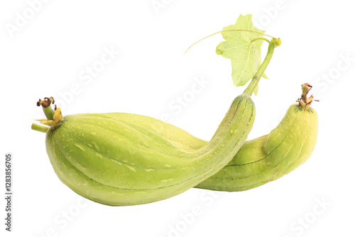 Obraz na płótnie Loofah luffa loofa isolated on white background w salonie
