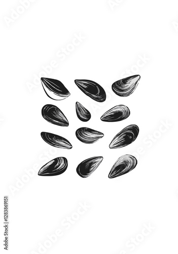 Vintage Black and White Vector Illustration of Various Mussels in Hand-Drawn Engraving Style