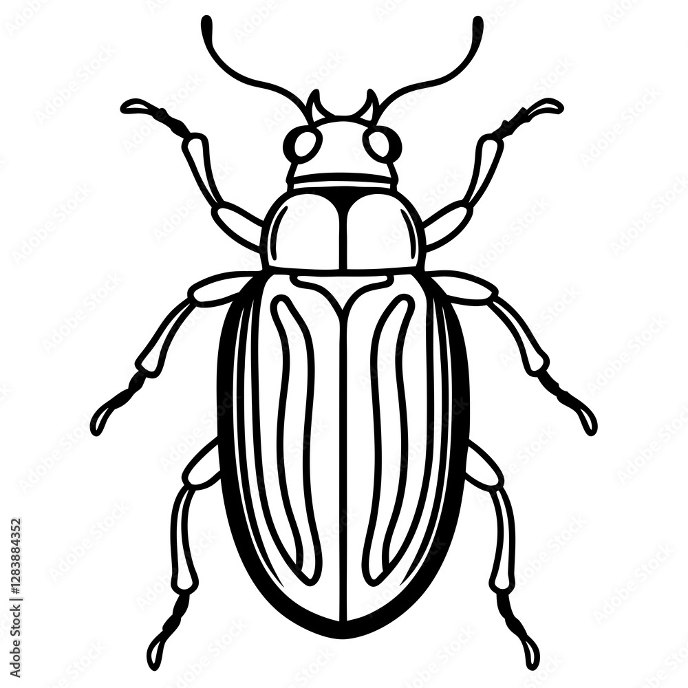 Insect Line Art Vector Insect Line Art Vector