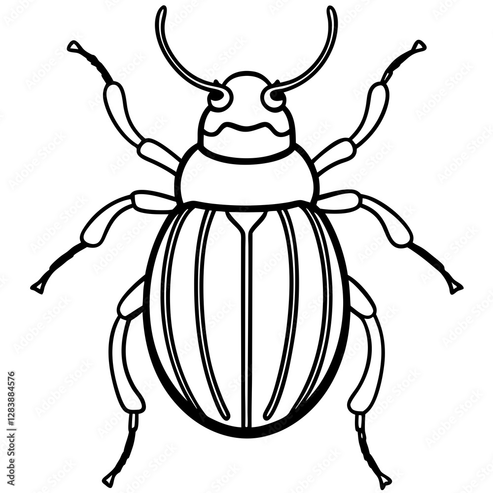 Insect Line Art Vector Insect Line Art Vector