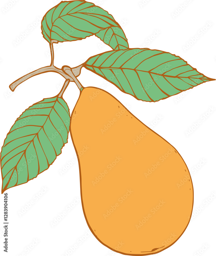 Illustrations botaniques d'une poire avec feuilles