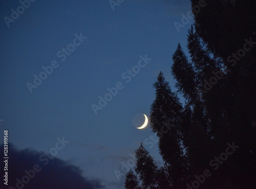 A crescent moon shines in the twilight sky, partially obscured by the silhouette of tall trees